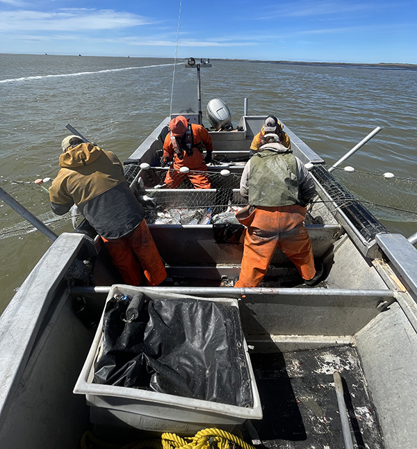 Crew on the water