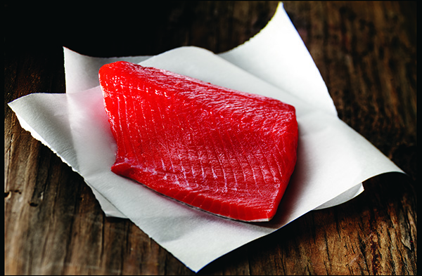 Salmon Filets